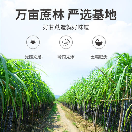 一级白砂糖1kg/瓶装 商品图8