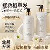 【山茶花去屑止痒洗发水洗头膏】蓬松控油 除螨沐浴露 持久留香正品套装 商品缩略图6