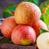 丑苹果6个/约1350g 商品缩略图4