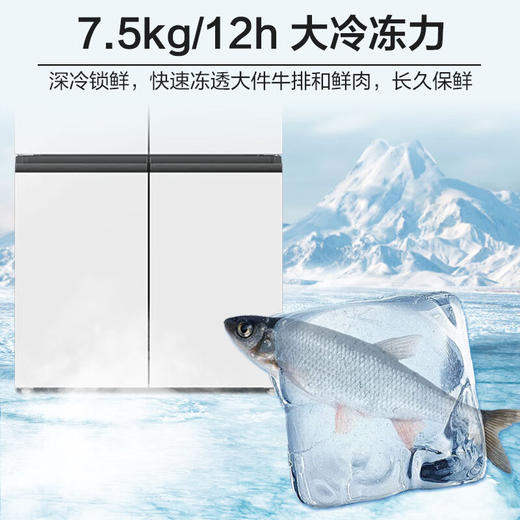 海尔549升十字双开对开四开门电冰箱家用一级能效变频节能嵌入式超大容量545升级款 商品图5