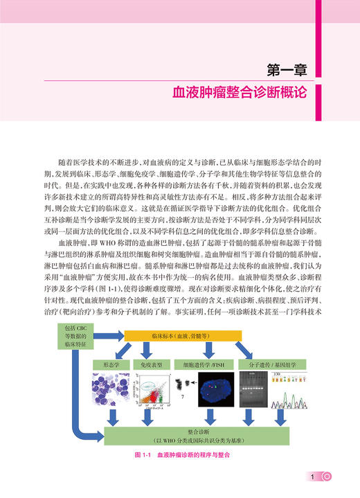 血液肿瘤整合诊断 卢兴国 叶向军 血液肿瘤实践与学术成果总结 整合诊断模式 多学科信息关键性指标  人民卫生出版社9787117354394 商品图3