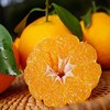 爆甜！春见·耙耙柑/中大果 商品缩略图1