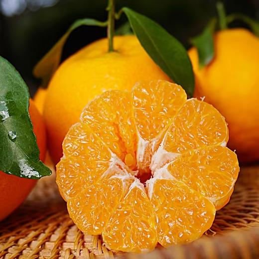 爆甜！春见·耙耙柑/中大果 商品图1