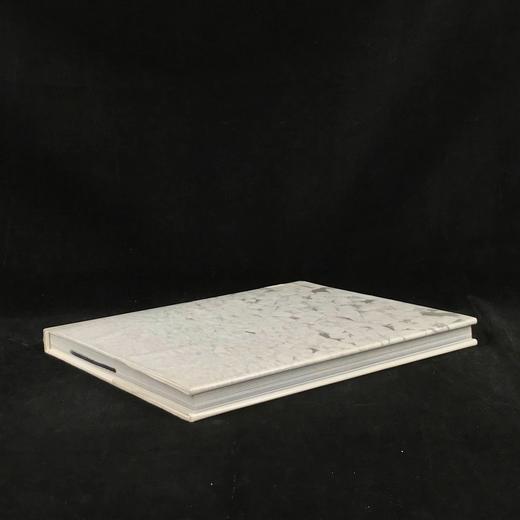 消失的世界：濒临灭绝的北极 约百幅插图 精装大16开 商品图2