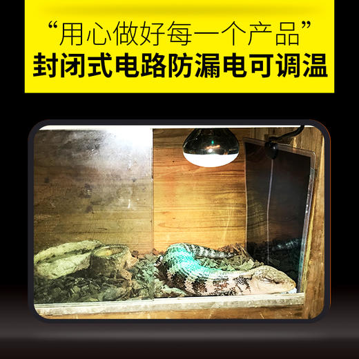 爬宠加热垫 商品图3