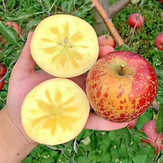 丑苹果6个/约1350g 商品图1