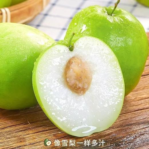 苹果枣4个/约500g 商品图1