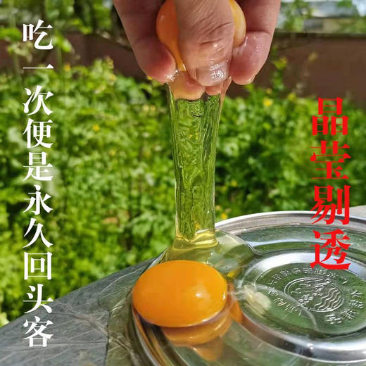 九华山散养土鸡蛋当季新鲜现捡深山农家土鸡蛋草鸡蛋一元一个 商品图13
