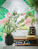 黑圆盆 花叶福禄桐 商品缩略图0