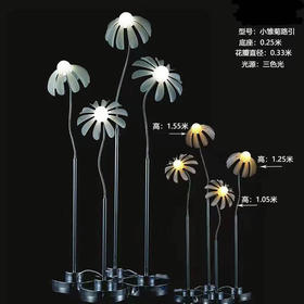 小雏菊路引三件套（运费自理）