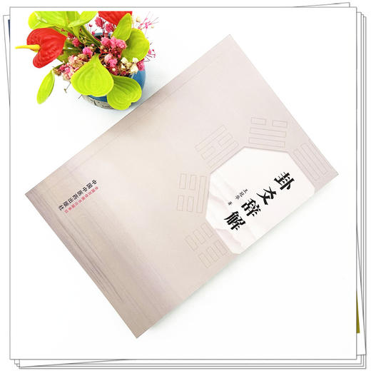 卦爻辞解 王冠华 著 中国中医药出版社 商品图1