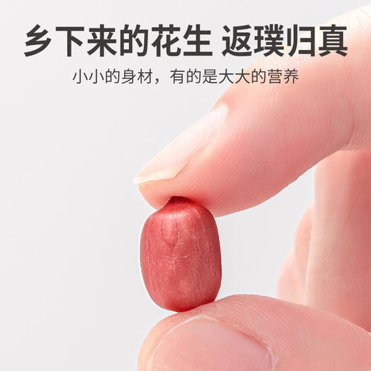 红花生1kg/米砖 商品图6