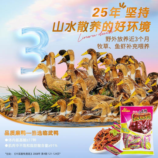 舜华酱板鸭小包装临武鸭休闲零食氮气熟食充氮酱板鸭、手撕鸭、葱香鸭舌 商品图7