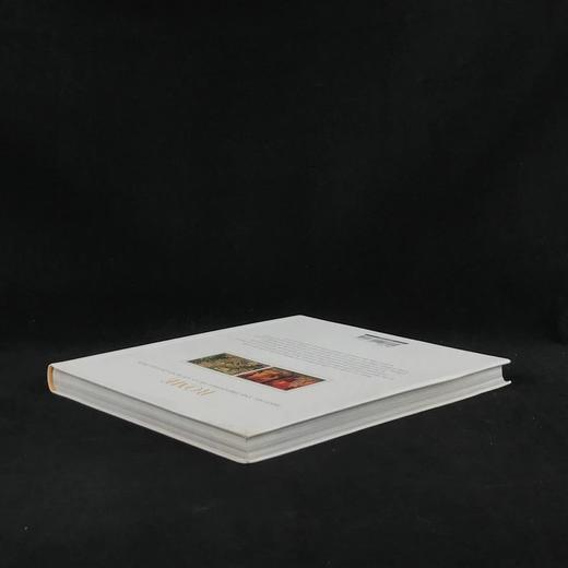 罗马：古代文明的历史与瑰宝 约百余幅插图 平装16开 商品图2