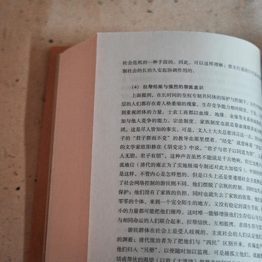 【独家】王学泰《游民文化与中国社会》（新版） 商品图4