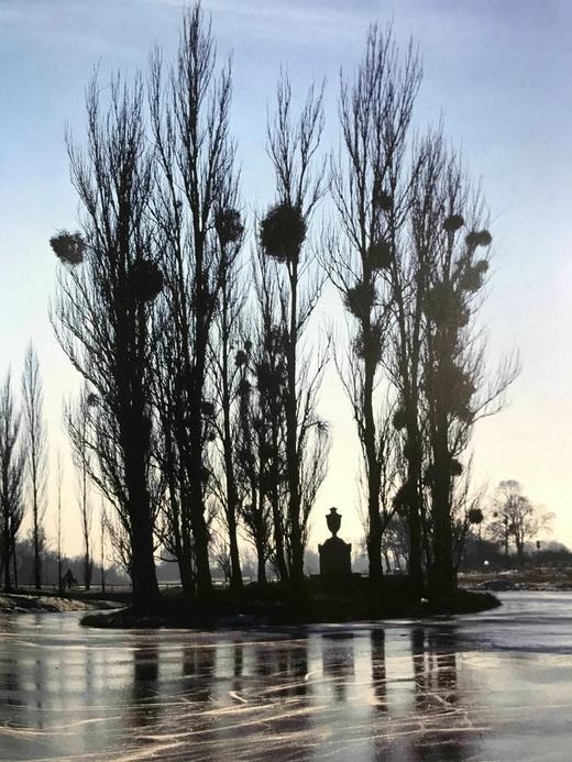 启蒙运动全景 153幅彩色234幅黑白插图 精装16开 商品图7