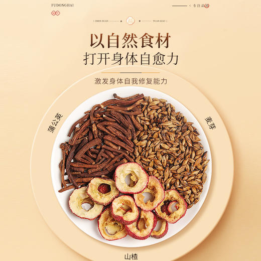福东海 麦芽山楂蒲公英200克  草本植物大份量回乃奶宝大麦茶 商品图2