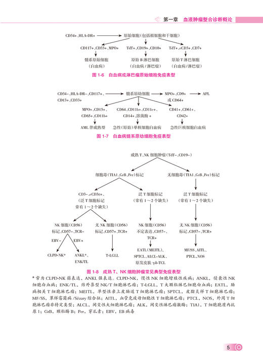 血液肿瘤整合诊断 卢兴国 叶向军 血液肿瘤实践与学术成果总结 整合诊断模式 多学科信息关键性指标  人民卫生出版社9787117354394 商品图4