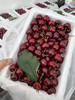 二月二龙抬头，大连基地樱桃福利，现摘现发，中大果混装，3斤/箱 商品缩略图2