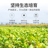 绿豆1kg/米砖 商品缩略图8