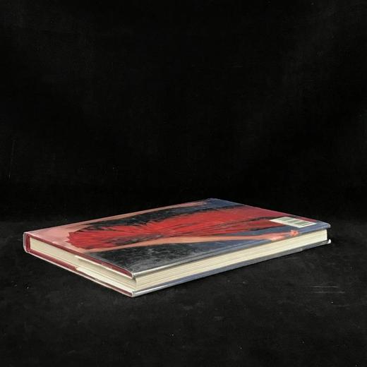 完美穿着：红毯时刻的着装艺术 百余幅插图 精装大16开 商品图2