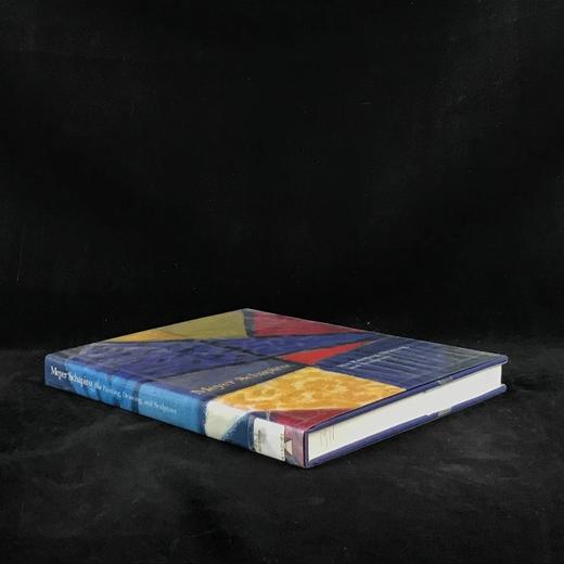 迈耶·夏皮罗绘画与雕塑图集 203幅插图（53幅彩色） 精装16开 商品图1