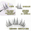 买二送一【一秒速贴免胶款！超自然太阳花假睫毛】免胶双尖懒人太阳花假睫毛，透明胶条自粘一秒速贴，仿真单簇眼睫毛贴QQ 商品缩略图2