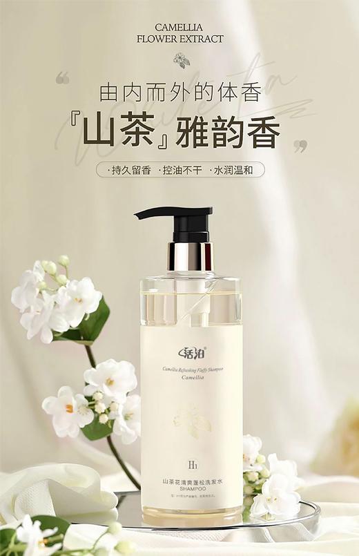 【山茶花去屑止痒洗发水洗头膏】蓬松控油 除螨沐浴露 持久留香正品套装 商品图8