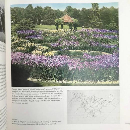 美国园林的黄金时代 313幅插图（134幅彩色） 精装16开 商品图7