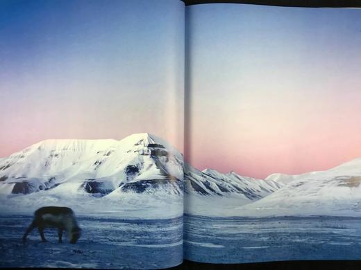 消失的世界：濒临灭绝的北极 约百幅插图 精装大16开 商品图8