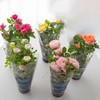 【AN】玫瑰盆栽不同色两盆 商品缩略图0