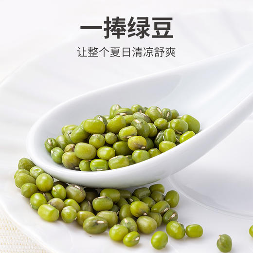 绿豆1kg/米砖 商品图6