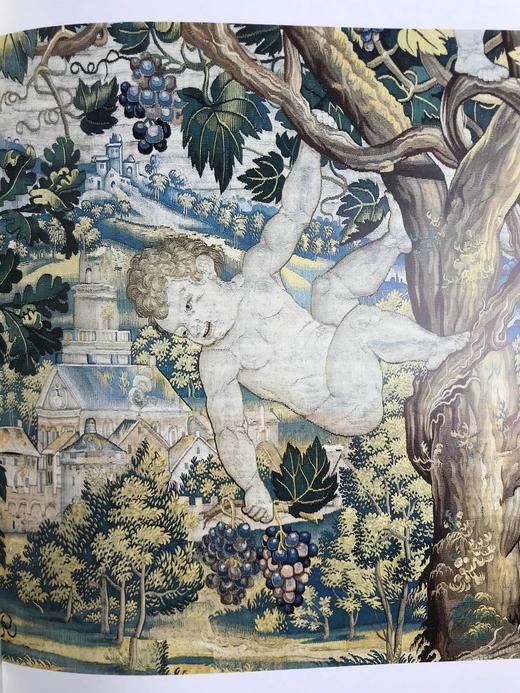 西班牙王室文艺复兴时期挂毯与盔甲图集 150余幅彩色插图 精装大16开 商品图13