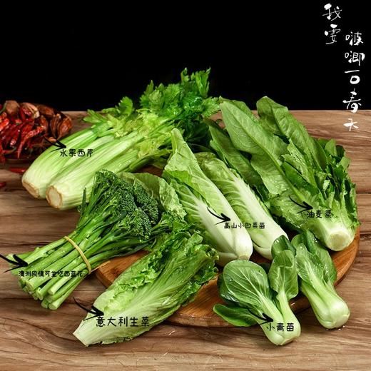【新品】新鲜蔬菜大礼包（季节原因茴香球改成上海青） 商品图2