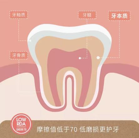 挪威Jordan自然清爽成人牙膏薄荷西柚味 商品图3