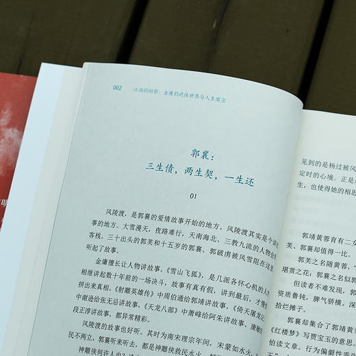 岳麓书社 江湖的倒影： 金庸的武侠世界与人生寓言 商品图3