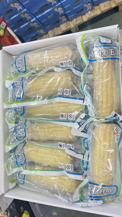 有机甜玉米一箱 商品图1
