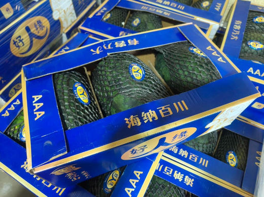 最高品质的黑美人，源自越南原生态高山种植，
沙瓢多汁，新鲜脆爽，好吃的连瓜皮都想啃光！6-7斤/个 商品图4