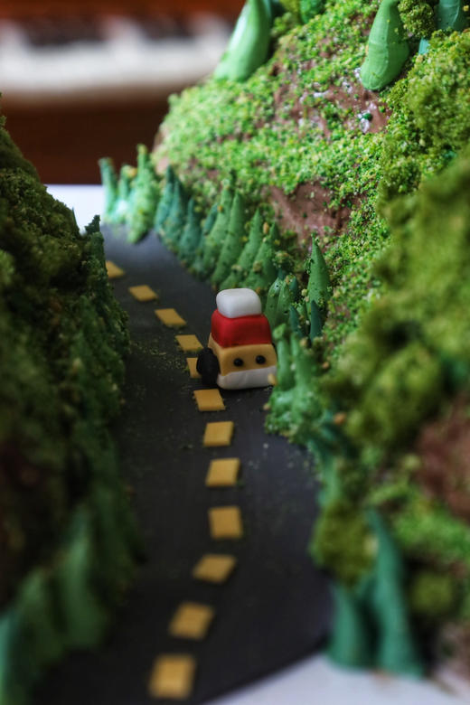 夏日郁郁葱葱（异形蛋糕）（需要提前24个小时预定） 商品图2