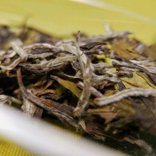 【停云】 2015年一级白牡丹 商品图1