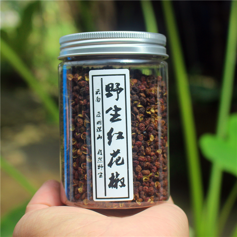 野生红花椒/  野村长
