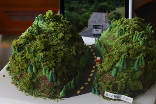 夏日郁郁葱葱（异形蛋糕）（需要提前24个小时预定） 商品图7