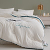 【热卖推荐】自然醒安娜公主A类刺绣立体边云柔大豆被冬被棉被芯加厚保暖空调春秋被FM 商品缩略图2
