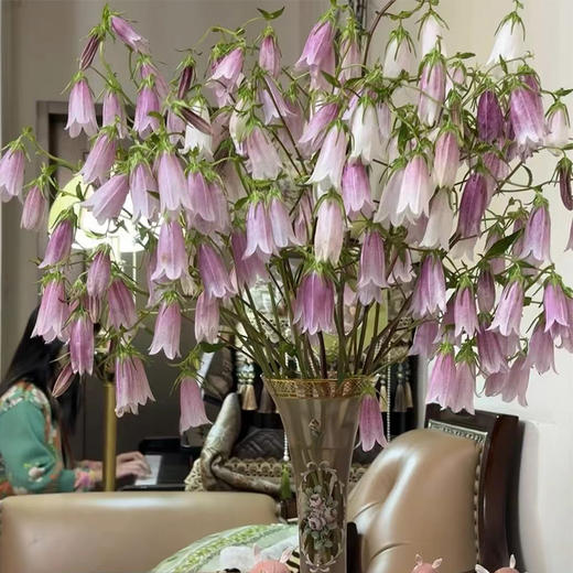 紫斑风铃鲜花10支 商品图4