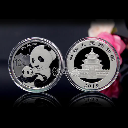 2019版30克熊猫银币 商品图0