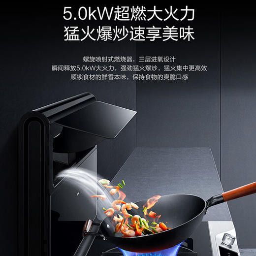 老板/集成灶/JJZT-9YC13 商品图4