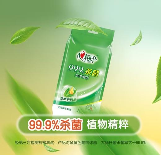 心相印杀菌湿巾独立装10片装  XCA001 商品图4