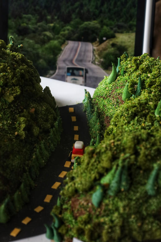 夏日郁郁葱葱（异形蛋糕）（需要提前24个小时预定） 商品图4