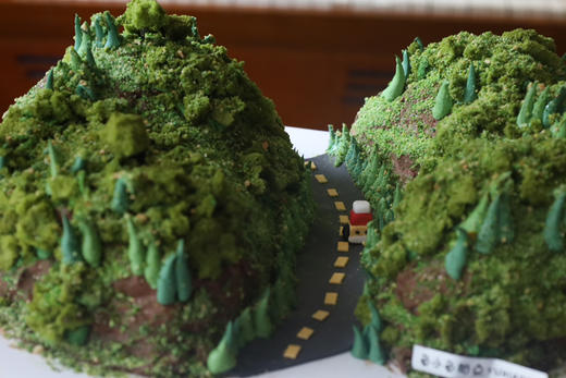 夏日郁郁葱葱（异形蛋糕）（需要提前24个小时预定） 商品图1