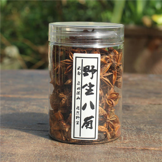 野生八角 商品图2
